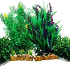 Plantas decorativas